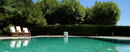 MAINTAINING A SWIMMING POOL SURROUNDED BY VEGETATION